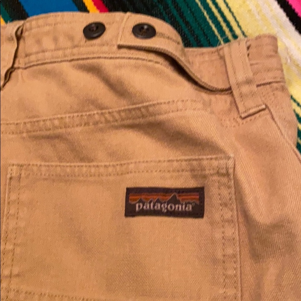 Patagonia work pants
